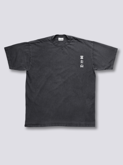 Fuji Blossom Vintage T-Shirt