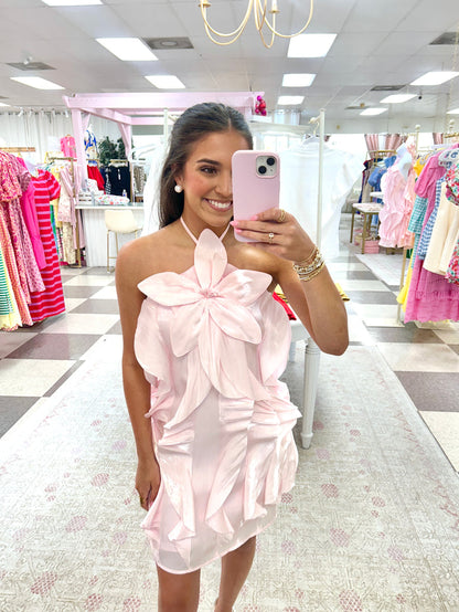 Blushing Belle Ruffle Mini Dress