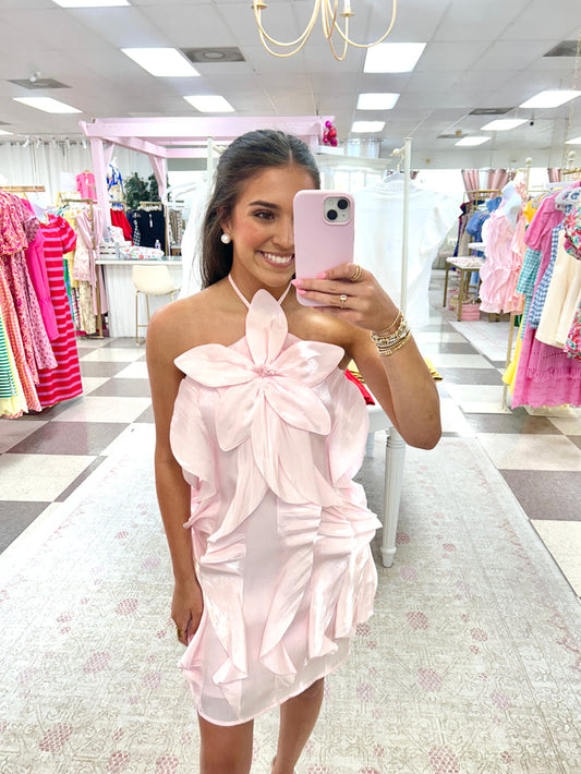 Blushing Belle Ruffle Mini Dress