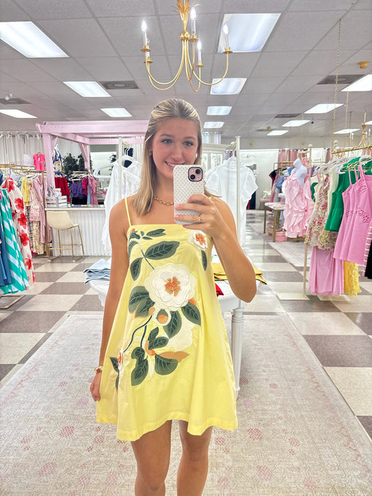 Sweet Magnolia Mini Dress